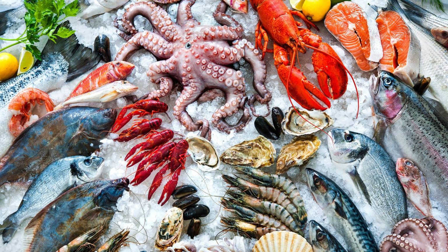 Supplier Seafood Semarang
