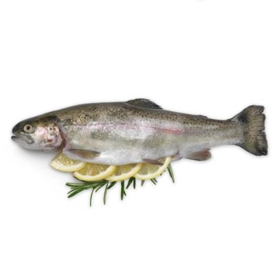 supplier salmon semarang